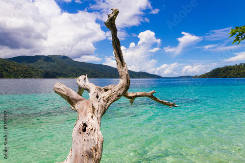 White sand beach in Rawi Island  Tarutao National Park.