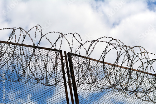 Колючая проволока на заборе тюрьмы, промышленного объекта