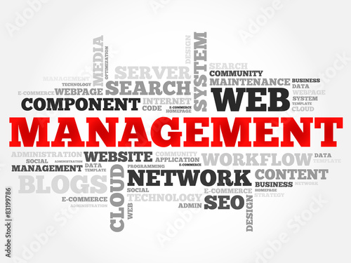 MANAGEMENT word cloud, business concept