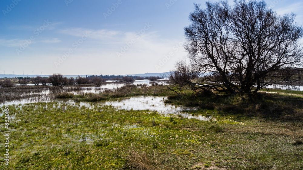 Alberca de Albore