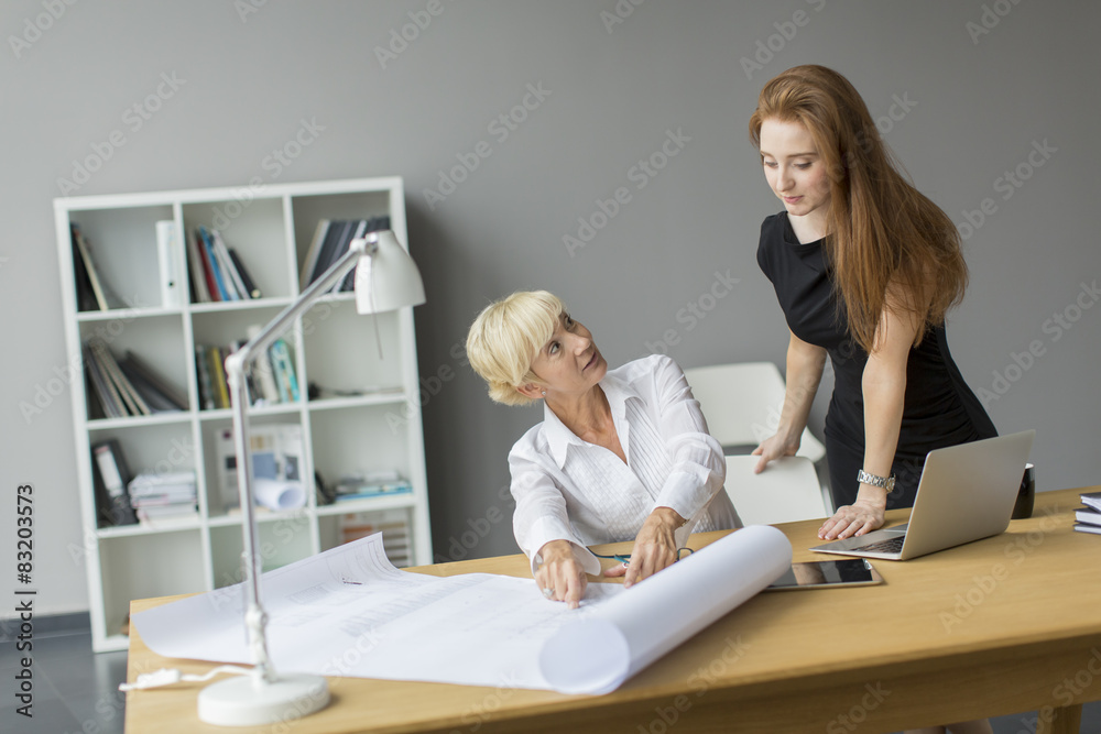 Obraz premium Women working in the office