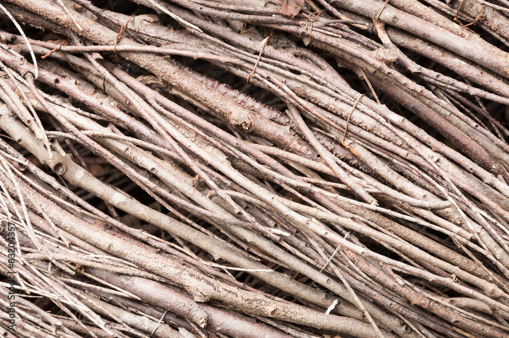 texture of nature texture of nature