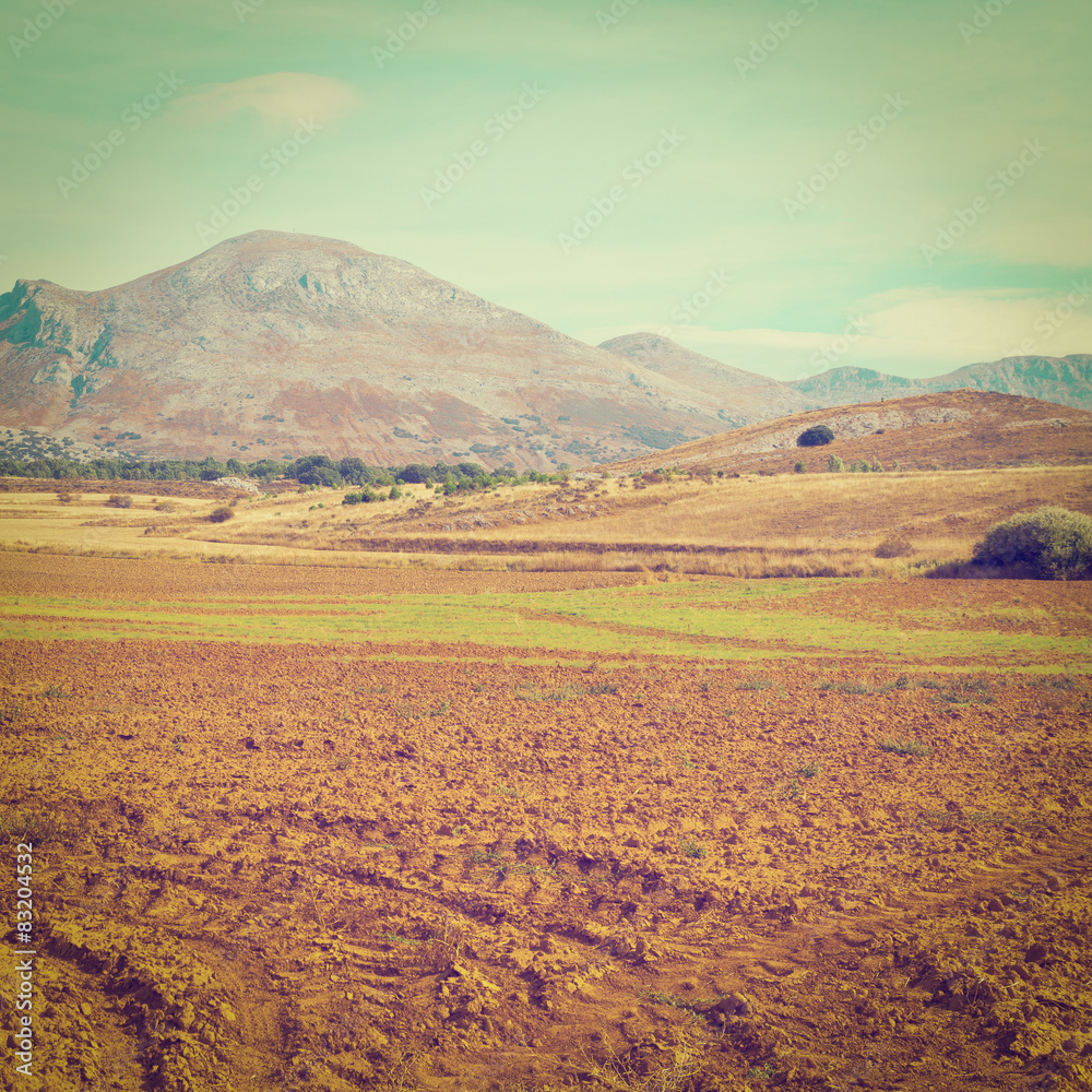 Fototapeta premium Plowed Fields