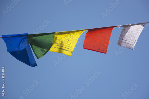 Tibetan Prayer Flags in Bir, North India
