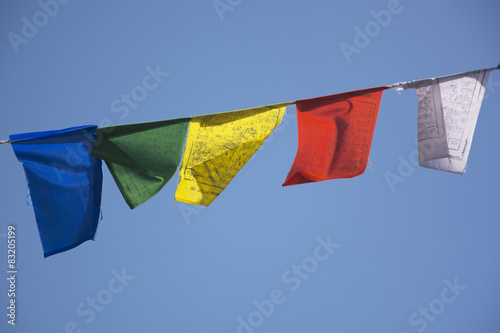 Tibetan Prayer Flags in Bir, North India