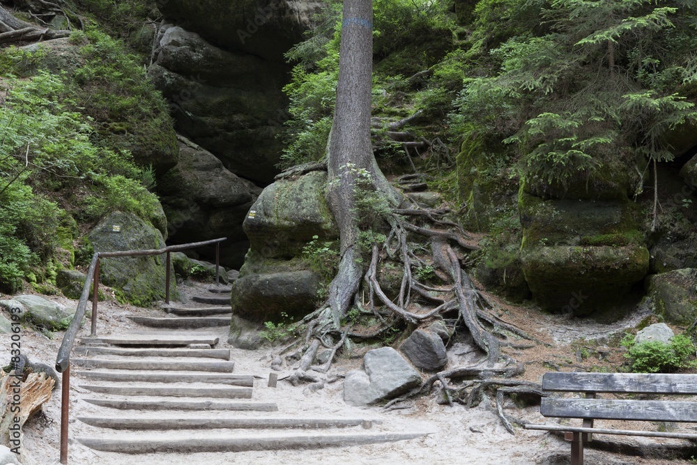 Fototapeta premium National Park of Adrspach-Teplice rocks. Czech Republic