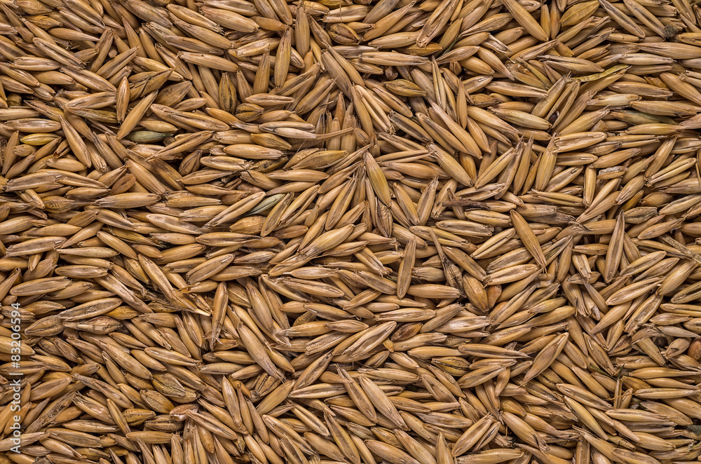 oat grain