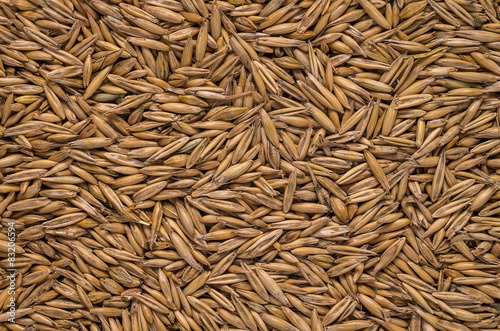 oat grain