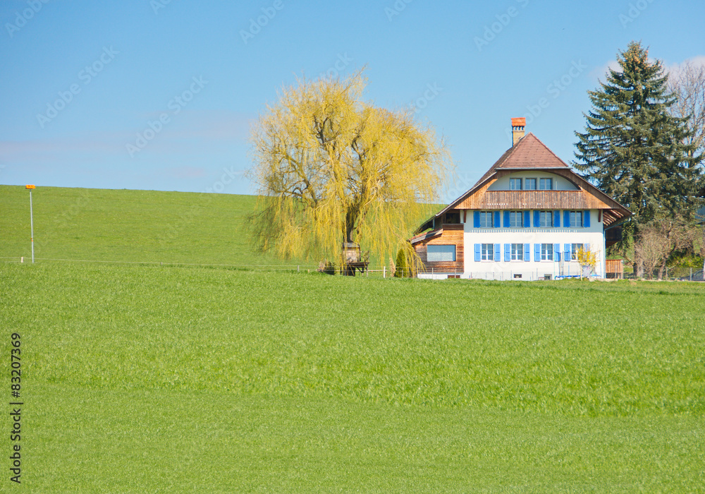 The Swiss Countryside The Swiss Countryside