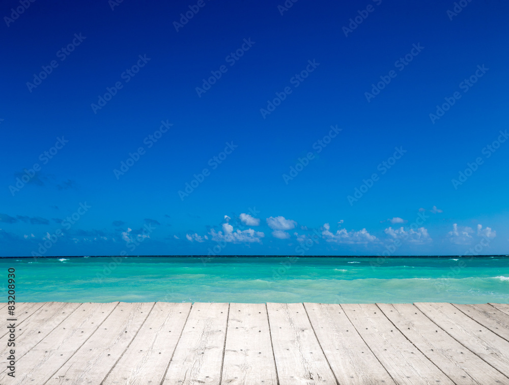 Fototapeta premium sea