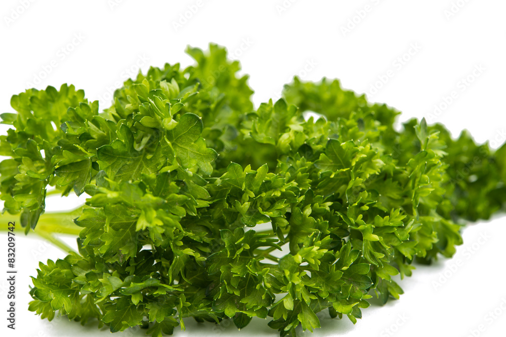 green leaves of parsley green leaves of parsley