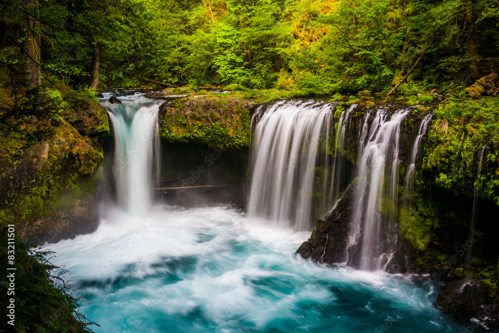Fototapeta premium View of Spirit Falls on the Little White Salmon River in the Col
