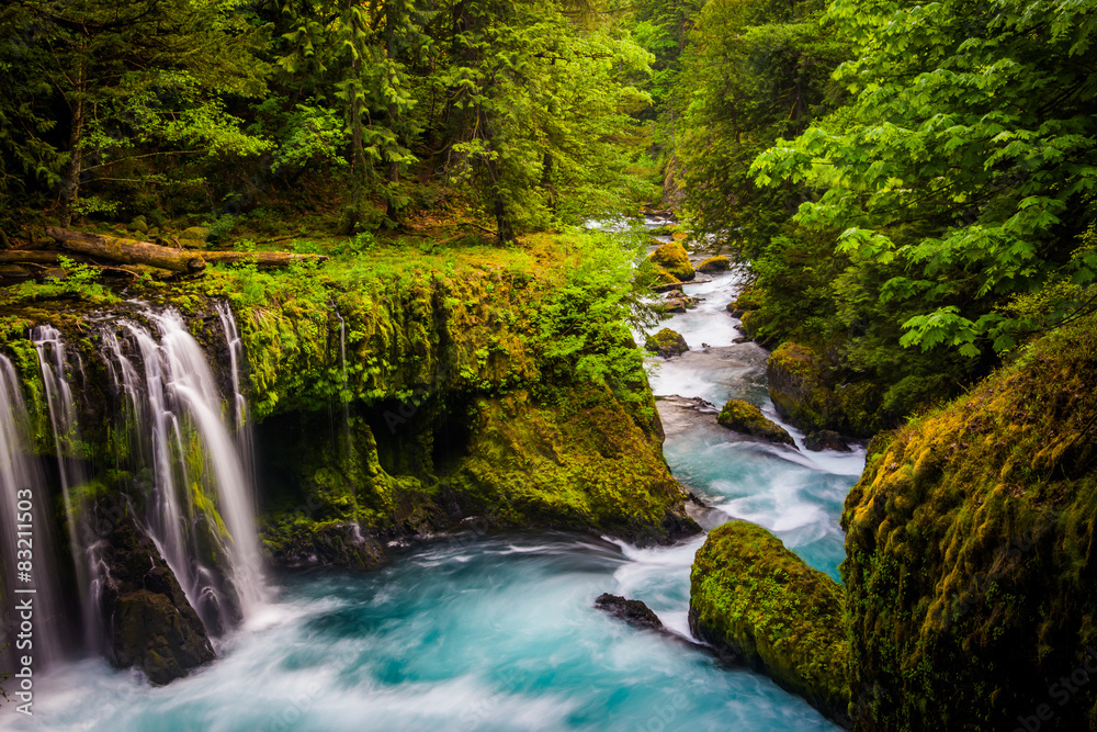 Fototapeta premium View of Spirit Falls on the Little White Salmon River in the Col