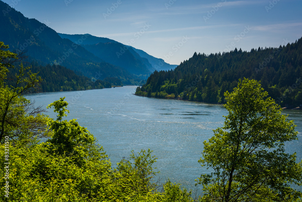 View of the Columbia River, in Cascade Locks, Oregon.