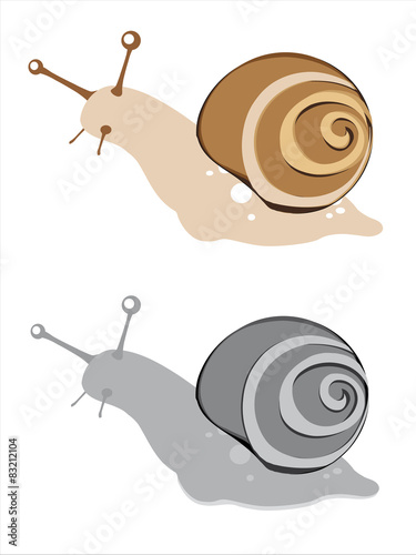 lumaca che cammina, illustrata e isolata su sfondo bianco