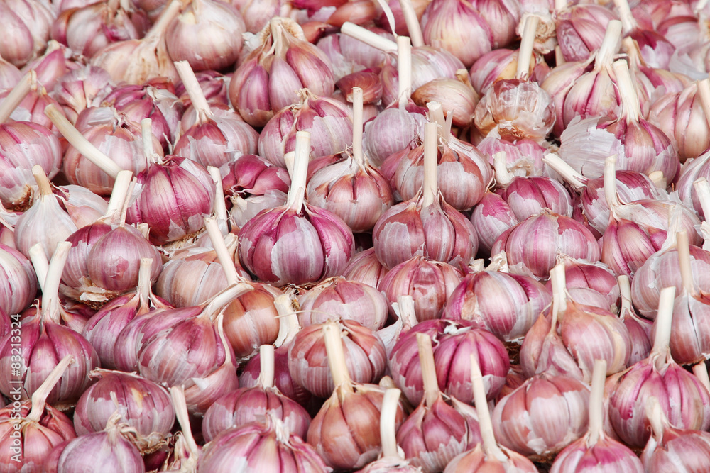 A pile of garlic on market stand