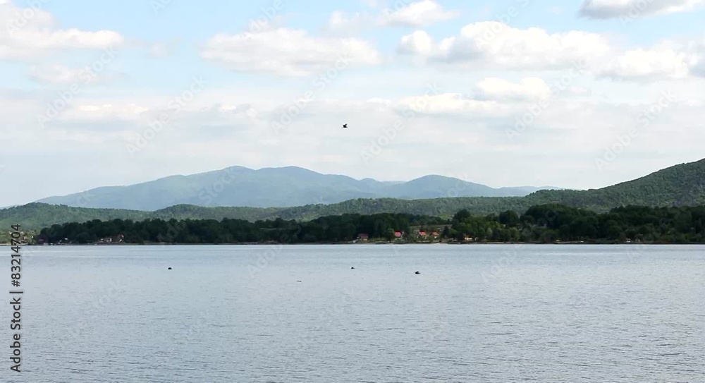 Lake with bird flying Lake with bird flying