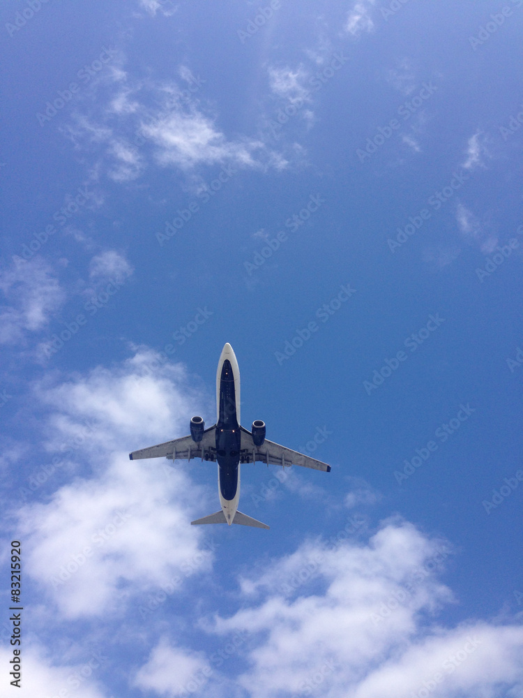 Obraz premium 青空と飛行機