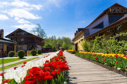 Fototapeta Naklejka Na Ścianę i Meble -  Beautiful flower alley