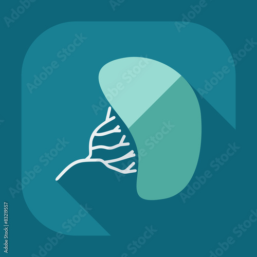 Flat modern design with shadow liver medical icon