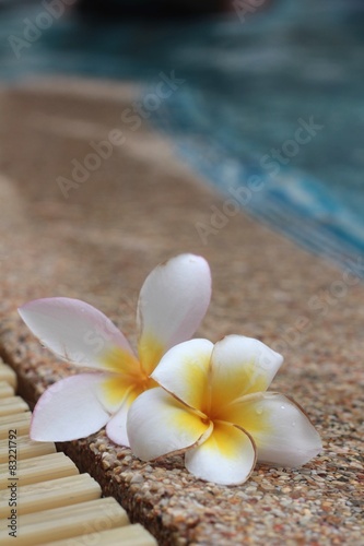 plumeria flower and blue swimming pool rippled water detail