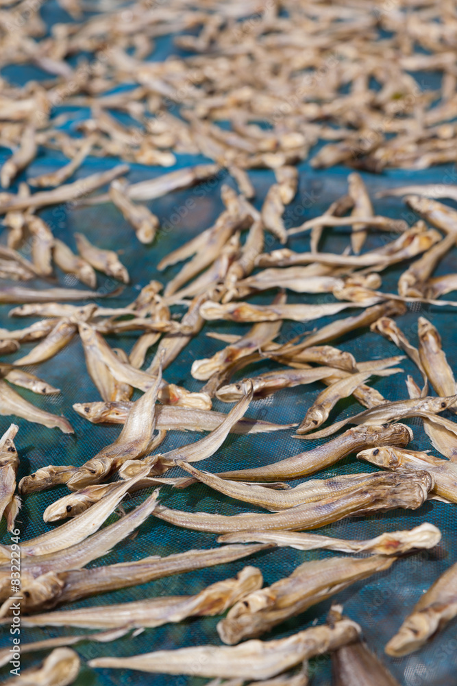 Dried fish, The traditional thai food.