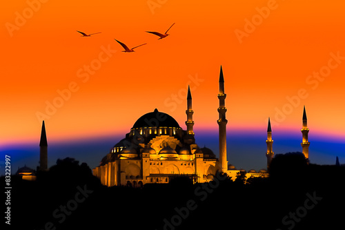 Moschee Istanbul Skyline Kuppel Möwe Sonnenuntergang Postkarte