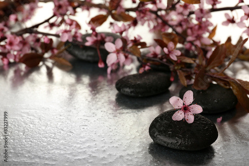 Spa stones with spring flowers on table close up