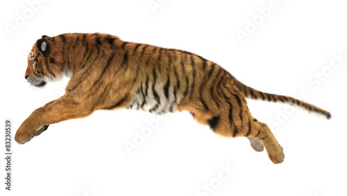 Fototapeta Naklejka Na Ścianę i Meble -  Tiger
