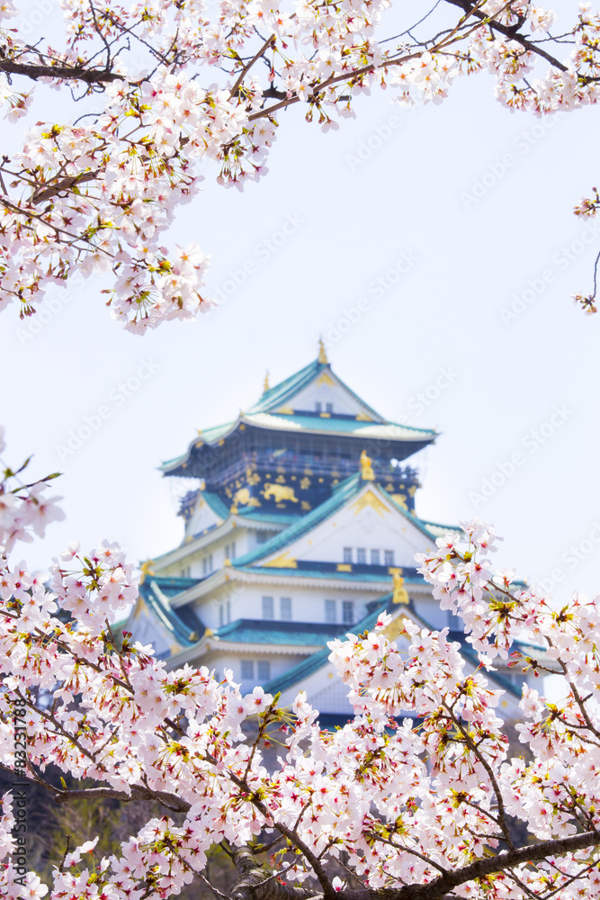 桜と春の大阪城