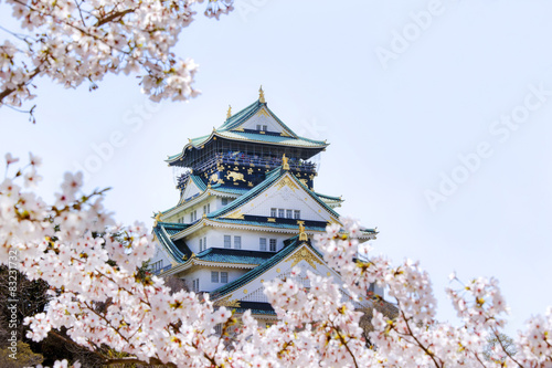 桜と春の大阪城