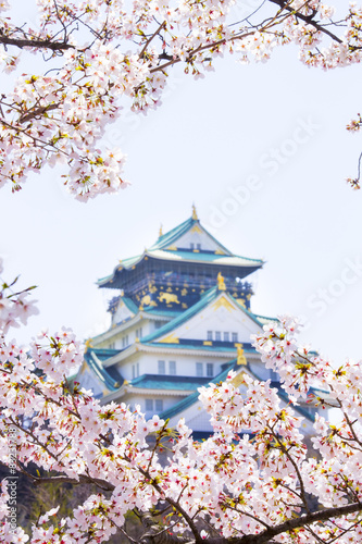 Obraz na płótnie 桜と春の大阪城 w salonie