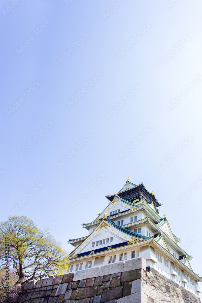 Fototapeta premium 青空の大阪城