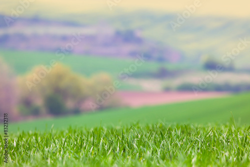 Blured Landscape background - focus on the front grass