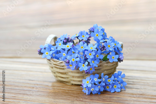 forget me not in the basket
