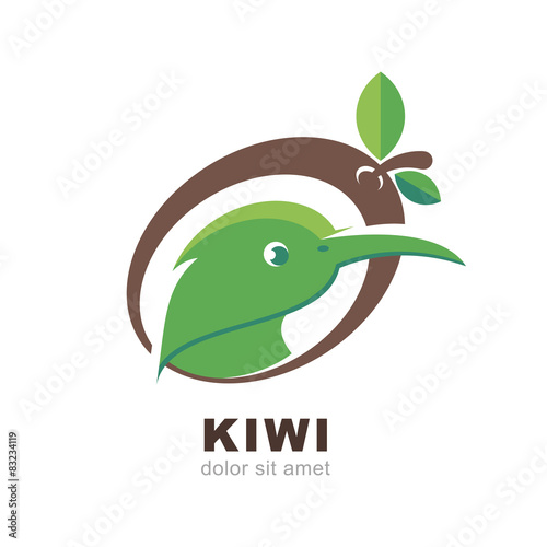 Head of kiwi bird in shape of kiwi fruit, vector 