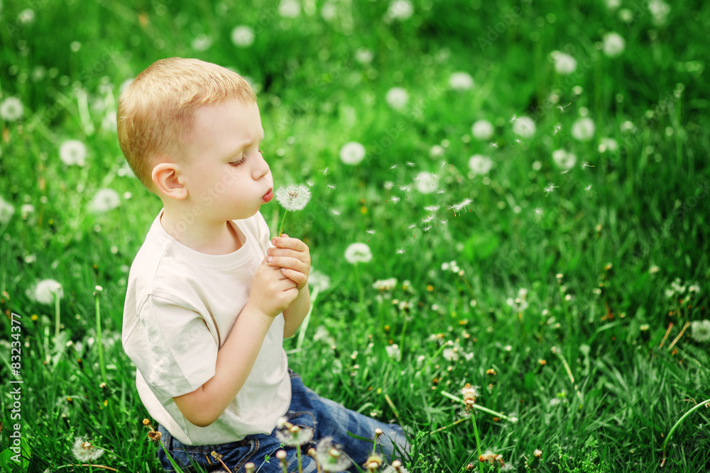 Adorable little boy blowing on a dandelion on a green spring mea Adorable little boy blowing on a dandelion on a green spring mea