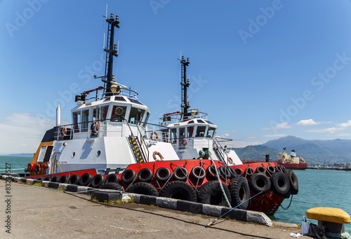 Marine tug stands near the pier