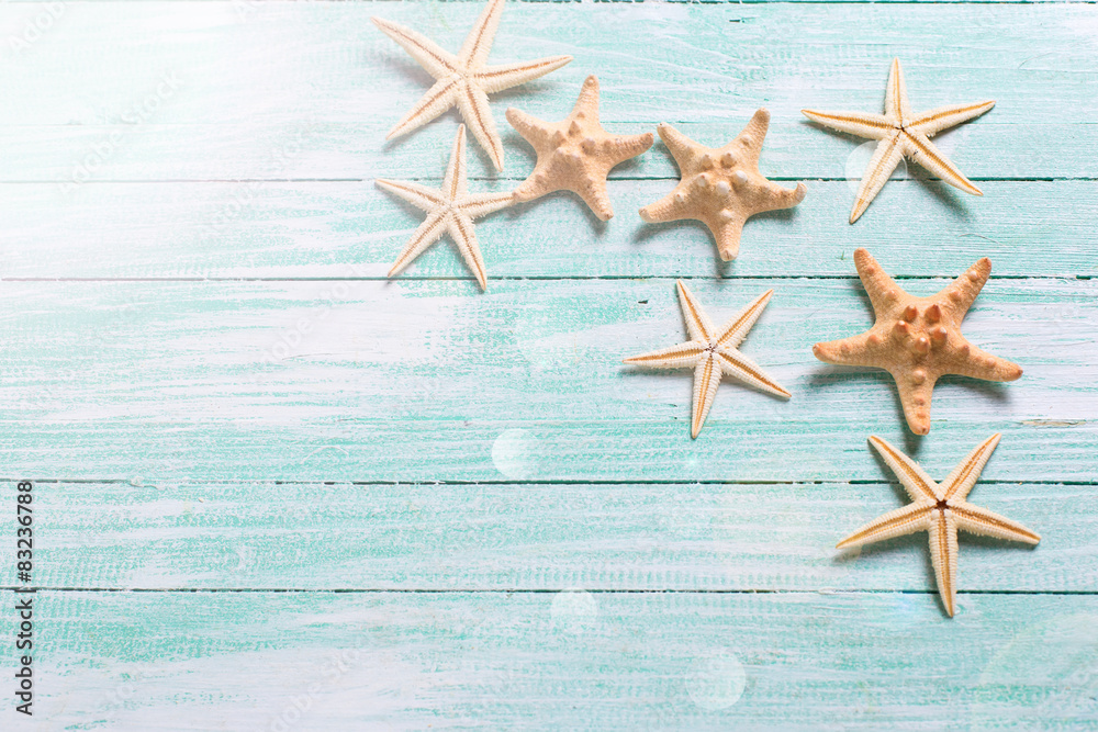 Marine items on wooden background. Marine items on wooden background.