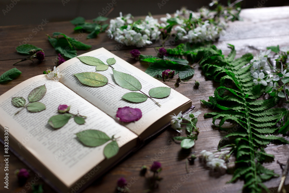 Ταπετσαρία floral mix of pressed and dried spring flowers and leafs rustic