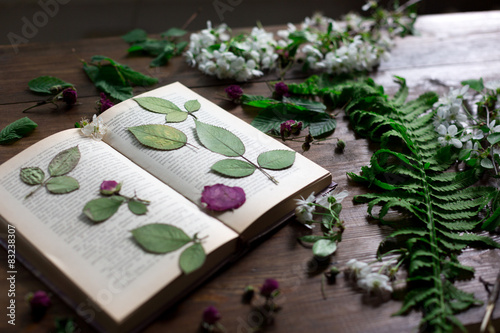 floral mix of pressed and dried spring flowers and leafs rustic photo