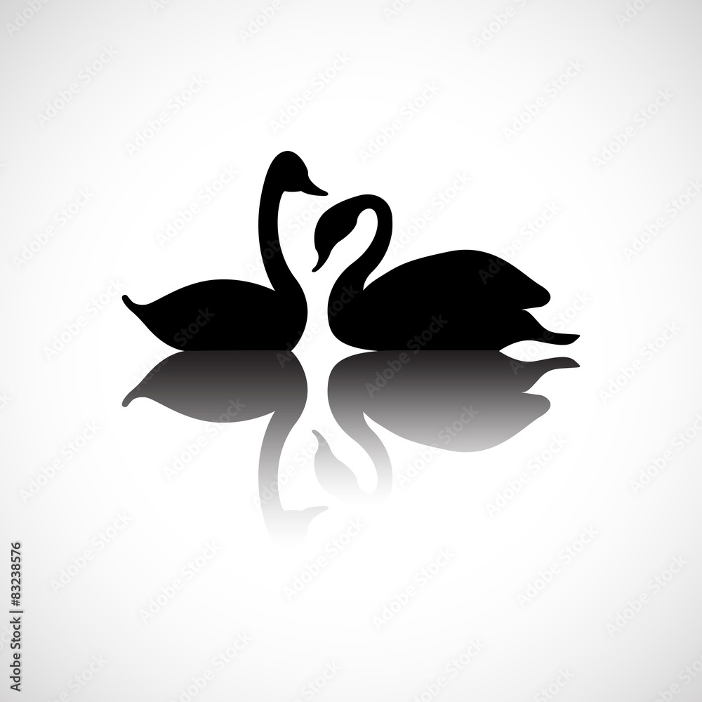 Silhouette of twins black swan on water with shadow Silhouette of twins black swan on water with shadow