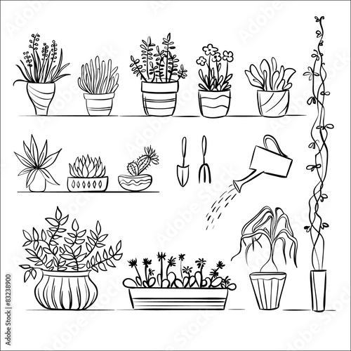 Pot plants and tools sketch