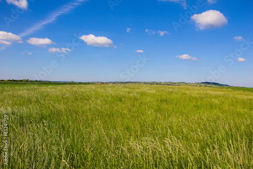 Beautiful Landscape Green Barley Blue Sky 