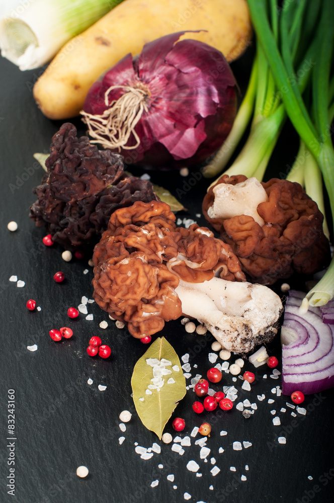 The False Morel (Gyromitra esculenta)
