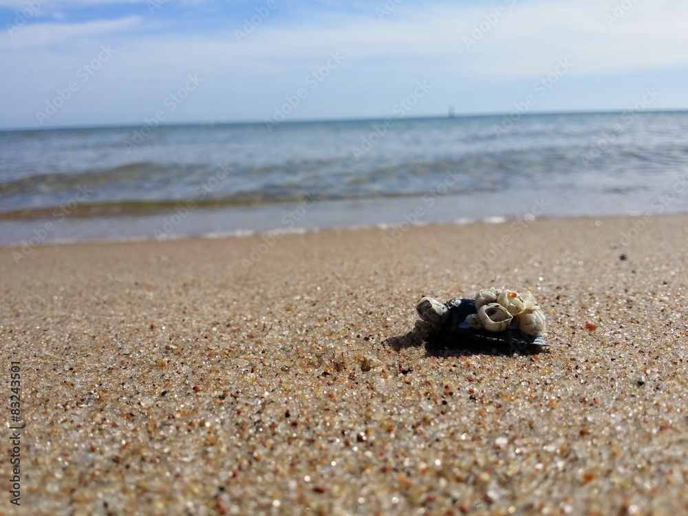 Plaża Plaża