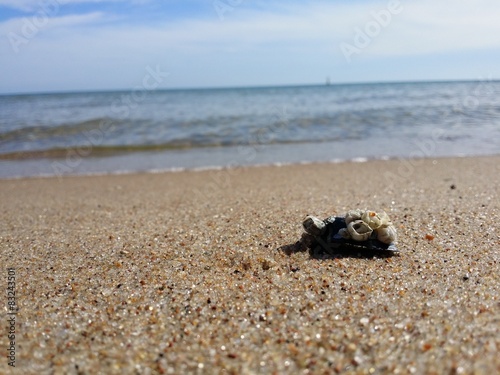 Plaża © smoczysen