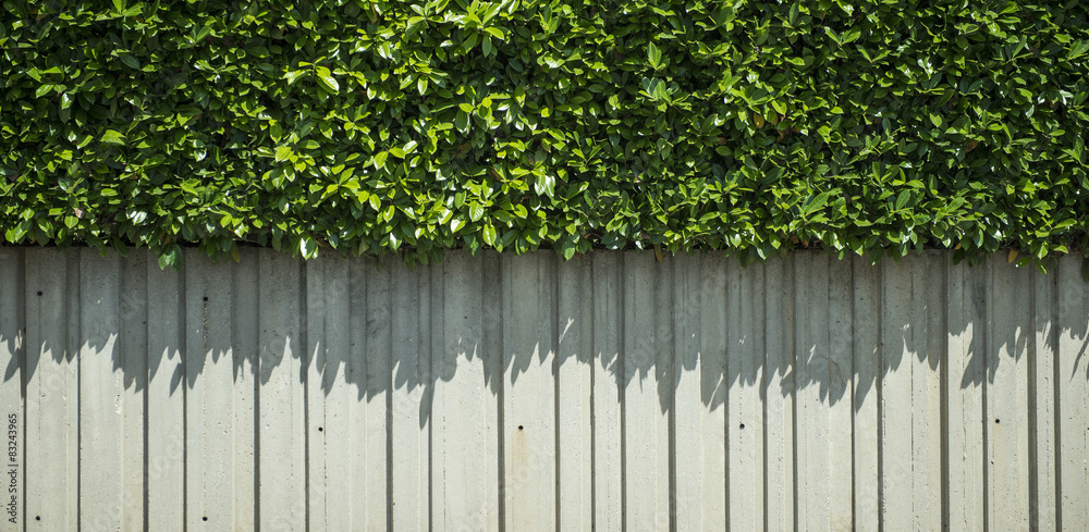 Muro di cinta con siepe Muro di cinta con siepe