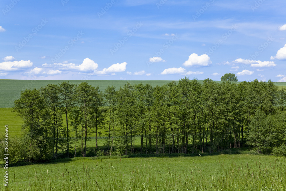 Obraz premium バイエルン地方の田園風景