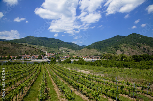 ヴァッハウ渓谷のワイン畑